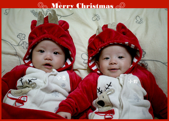 [3M28D] 雙胞胎麋鹿祝大家聖誕快樂!!!