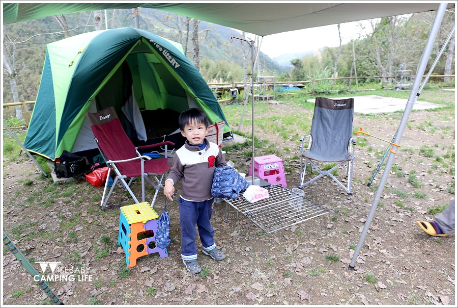 露營 | 新竹五峰。楓櫻杉林露營區．楓樹櫻花柳杉林下搭帳篷