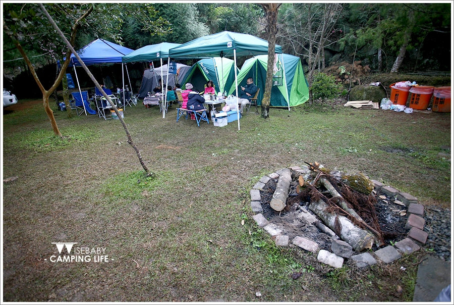 露營 | 南投信義。張家堡森林梅園．絕美的賞梅營地