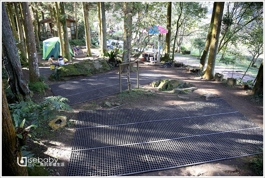 露營 | 苗栗南庄。喝納灣露營區．飄著咖啡香的原始森林優質營地