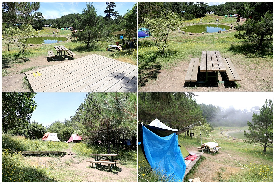 露營 | 南投和平。福壽山農場露營區．全台海拔最高的露營勝地