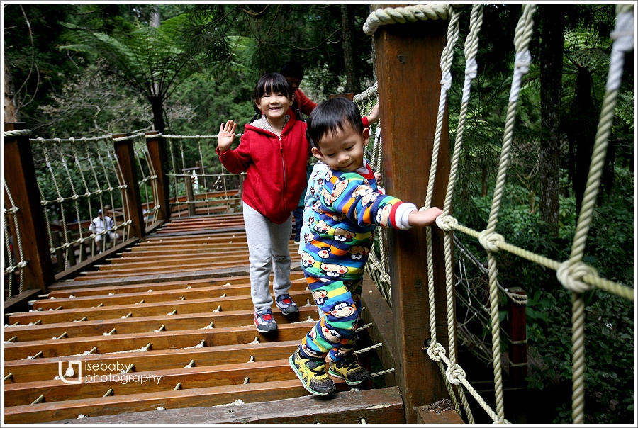 [景點] 南投鹿谷-漫步探索森林浴::溪頭森林遊樂區(6Y5M+3Y2M)
