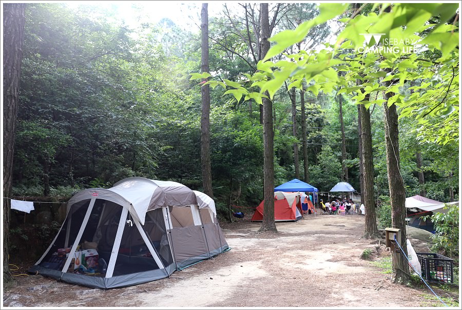 露營 | 苗栗南庄。松濤意境露營咖啡館．聽風與松樹的對語