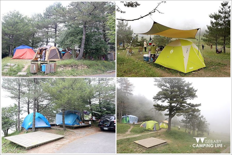 露營 | 南投和平。福壽山農場露營區．全台海拔最高的露營勝地