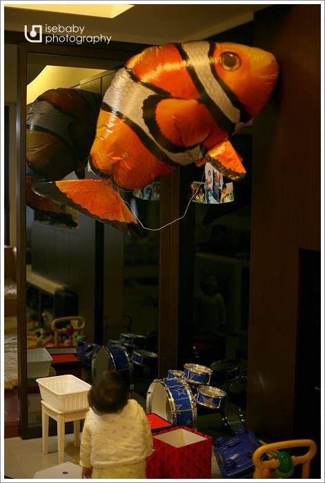 [4Y9M5D+1Y5M29D] 我家有一隻飛天小丑魚