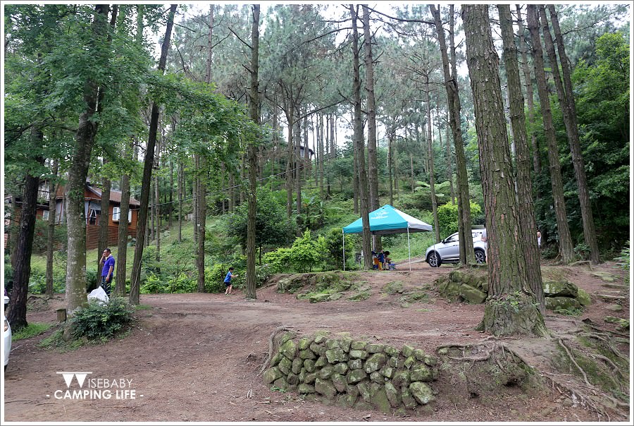 露營 | 苗栗南庄。松濤意境露營咖啡館．聽風與松樹的對語