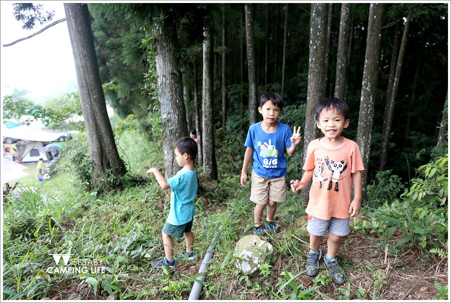 露營 | 新竹五峰。雲頂杉林景觀農場．Robens台灣第一場部落團聚
