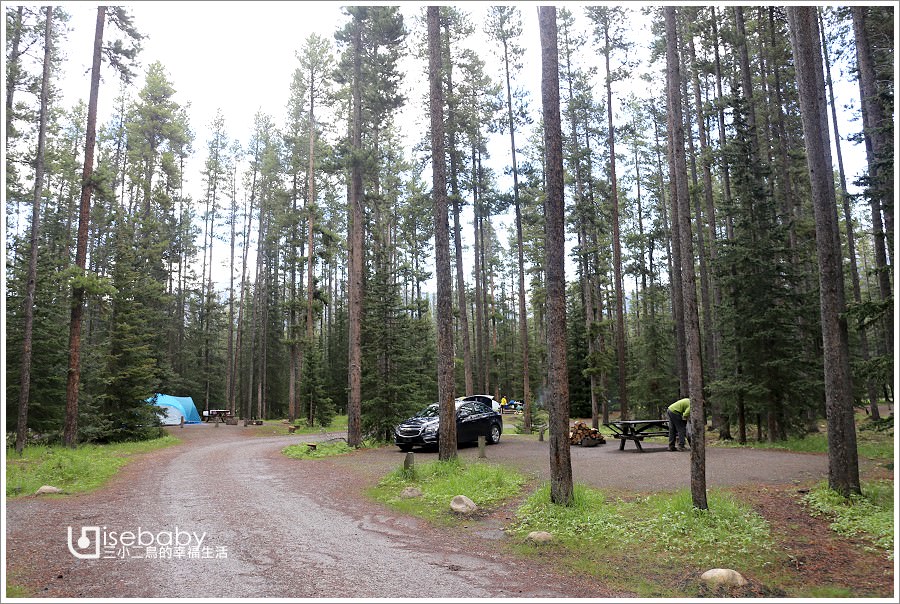 加拿大露營 | 地松鼠就在帳篷前的野生動物園營地。Lake Louise Campground