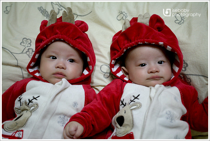 [3M28D] 雙胞胎麋鹿祝大家聖誕快樂!!!