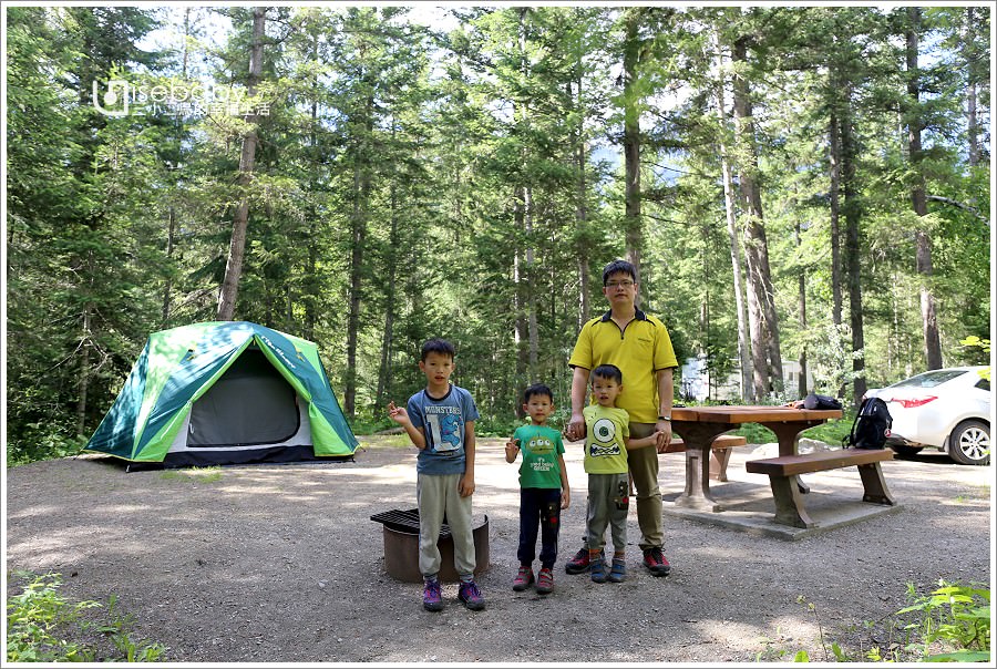 加拿大｜露營。Robson Meadows Campground．原始森林環繞的省立公園營地