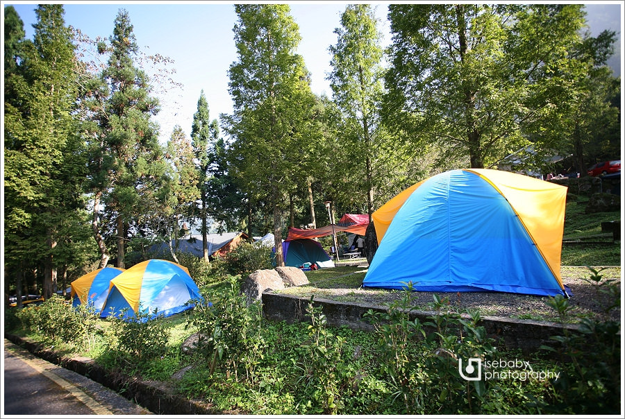 露營 | 南投鹿谷。溪頭露營區．高海拔的避暑無電營地