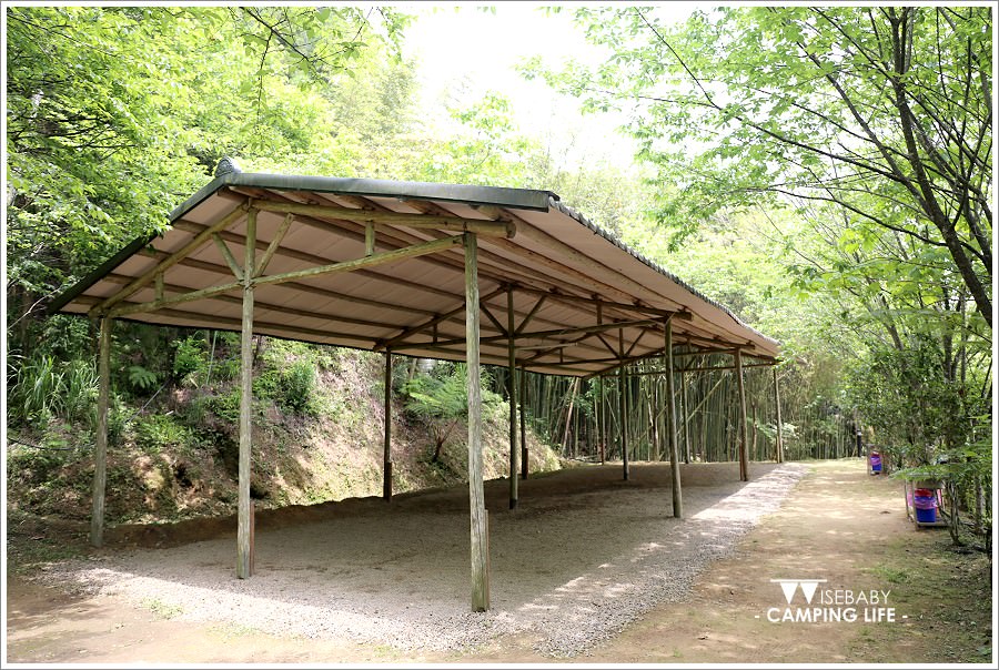 露營 | 新竹五峰。櫻之林露營區．有原住民活動的優質賞櫻營地