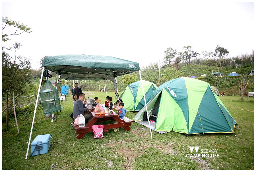 露營 | 苗栗泰安。逸視界露營區．高山草莓吃到飽優質營地