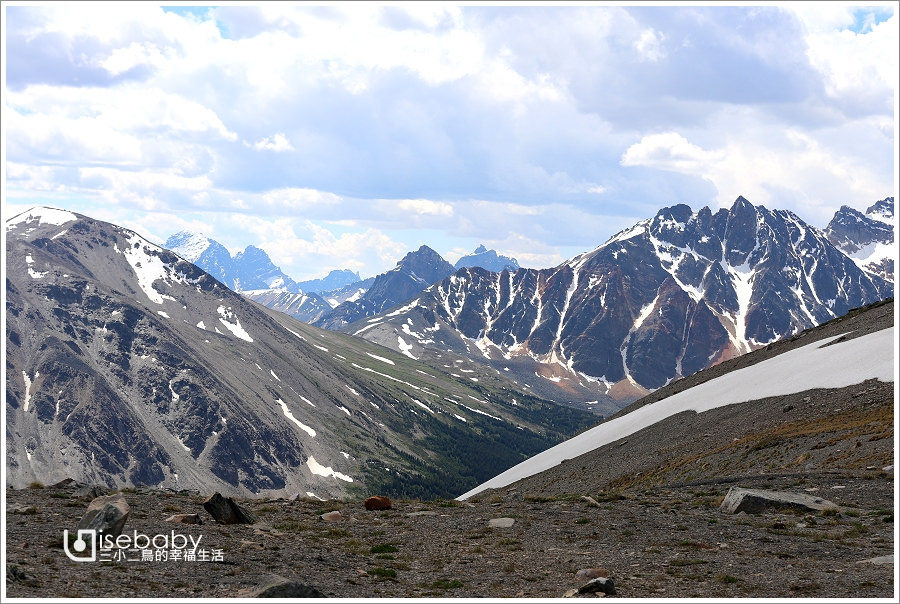 加拿大｜景點。Jasper SkyTram．Jasper國家公園視野最棒的置高點