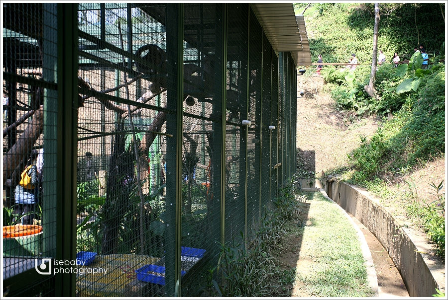 [景點] 新竹-親子出遊好去處::森林鳥花園(6Y6M+3Y2M)