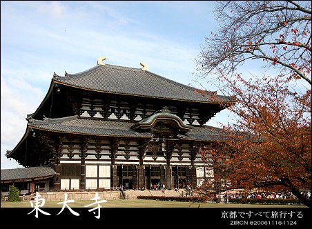 楓情Kyoto::第七天::熱情的奈良公園