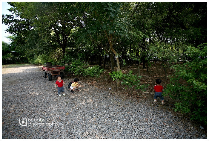[景點] 宜蘭羅東-羅東林業文化園區(5Y2M+1Y11M)