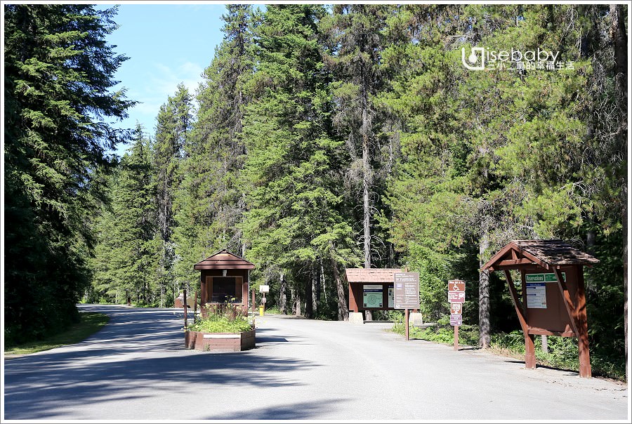 加拿大｜露營。Robson Meadows Campground．原始森林環繞的省立公園營地