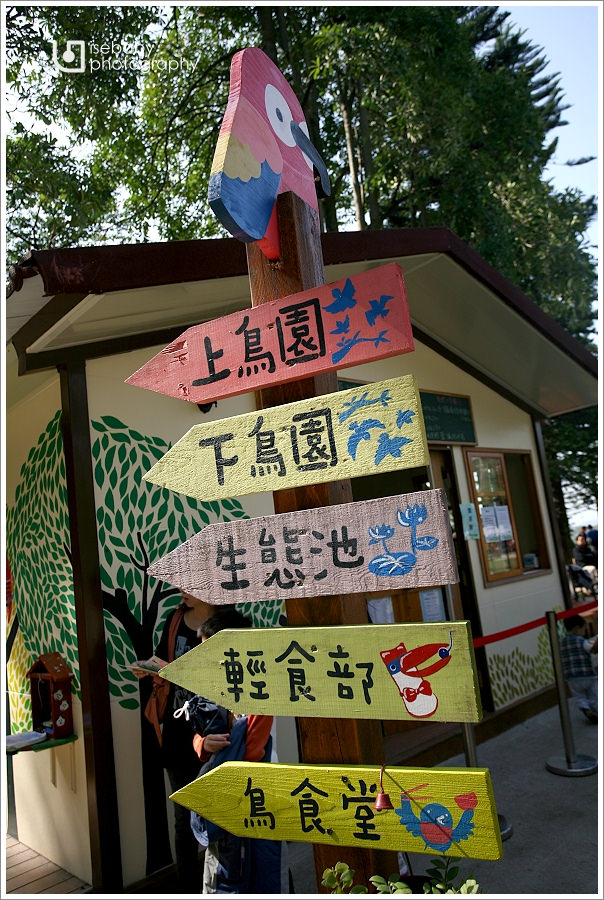 [景點] 新竹-親子出遊好去處::森林鳥花園(6Y6M+3Y2M)