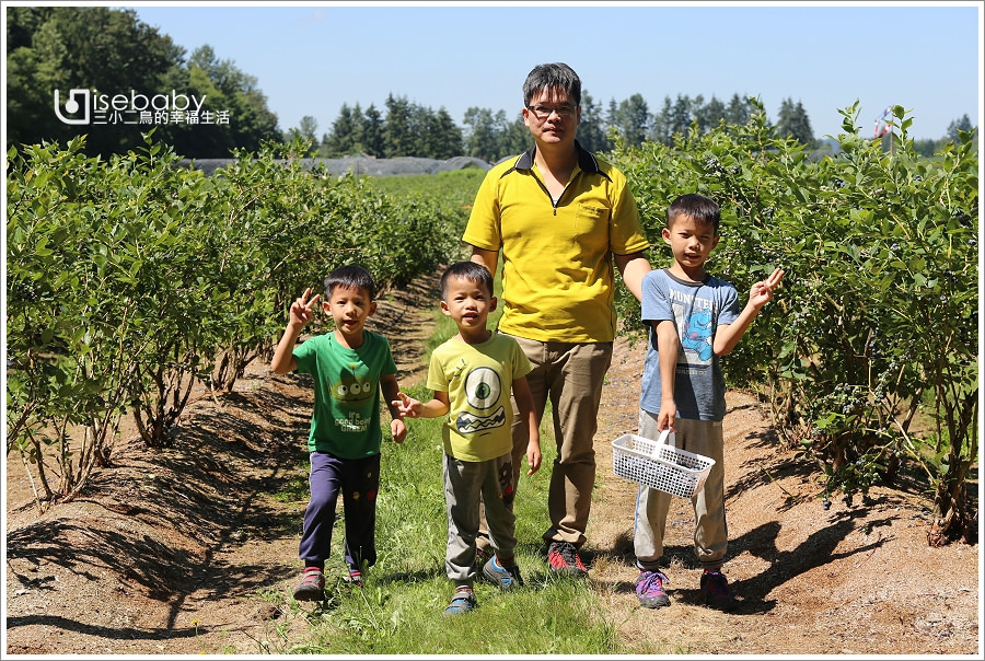 加拿大｜景點。Krause Berry Farms．溫哥華近郊推薦行程U-PICK自採藍莓農場