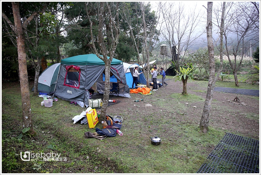 露營 | 苗栗南庄。喝納灣露營區．飄著咖啡香的原始森林優質營地