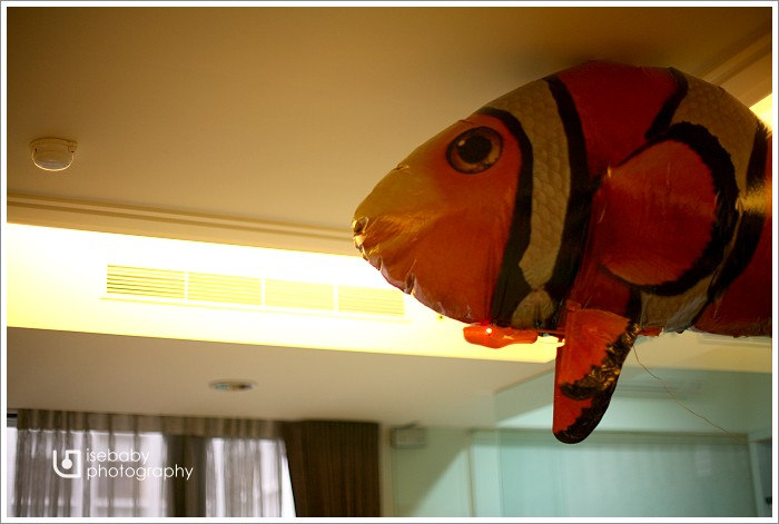 [4Y9M5D+1Y5M29D] 我家有一隻飛天小丑魚
