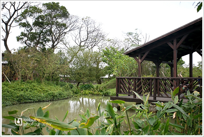 [景點] 桃園-開趴好地方::八德埤塘自然生態公園(5Y7M+2Y4M)